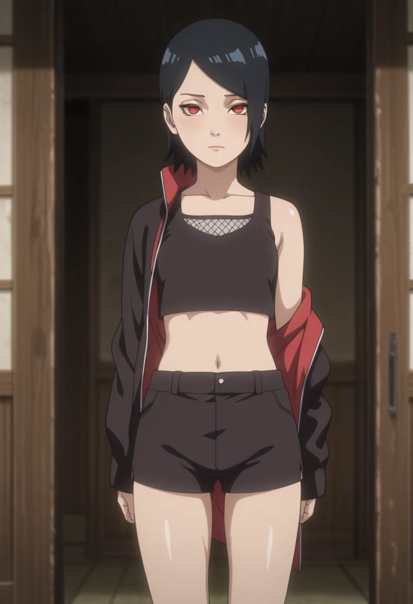 Sarada Uchiha / SFW / Image Pack / 120 Pictures