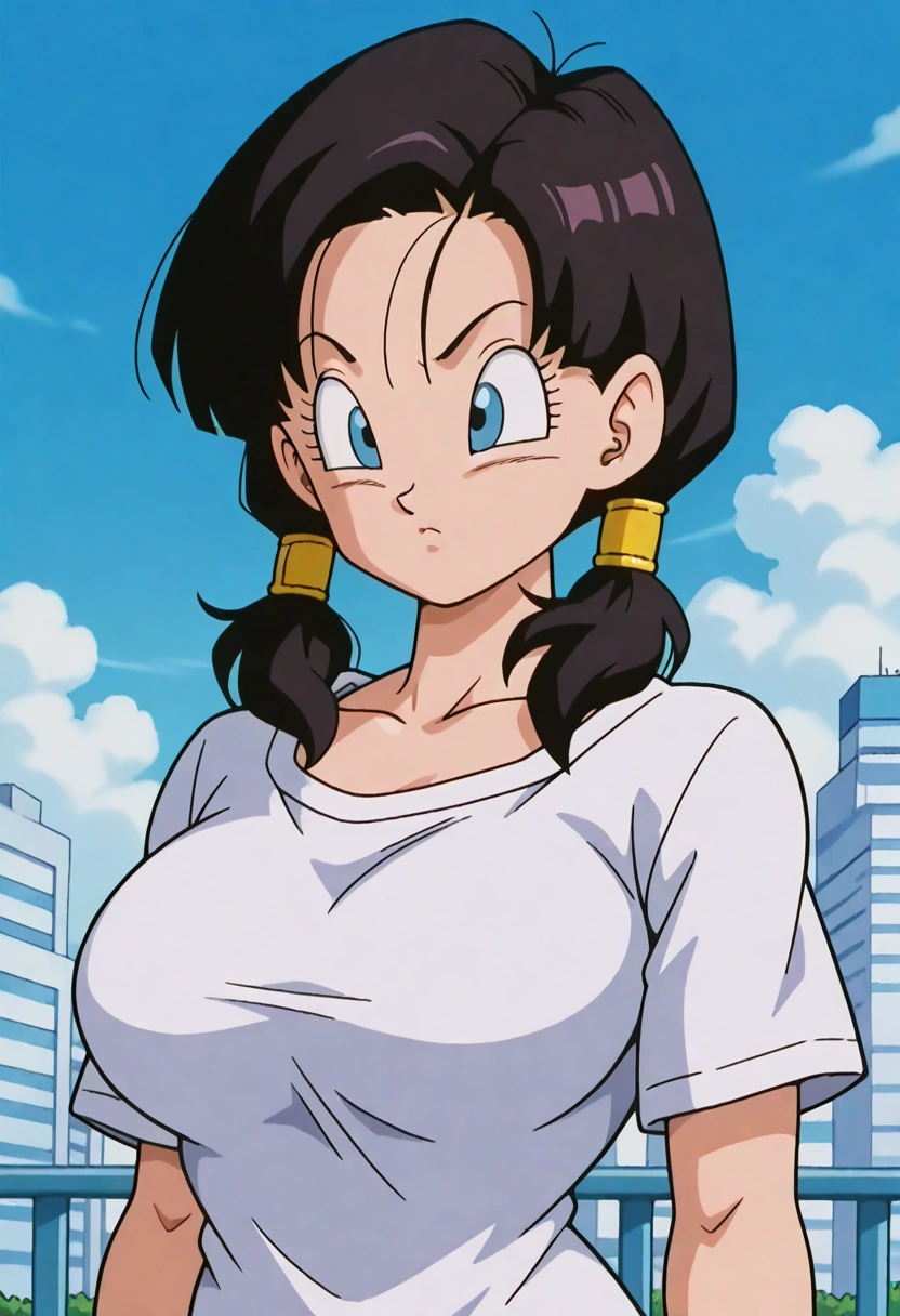 Videl 2 / Image Pack / 120 Pictures