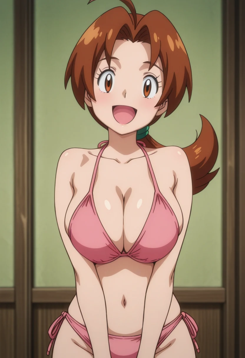 Delia Ketchum / Image Pack / 130 Pictures