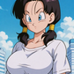 Videl 2 / Image Pack / 120 Pictures